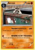 Raccoon