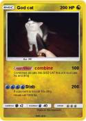 God cat