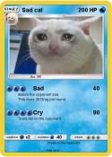 Sad cat
