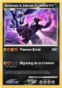 Reshiram & Zekr