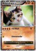 ScheissKatze