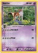 Red fox
