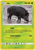 pig