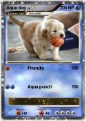 Aqua dog