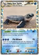 Baby Sea Turtle