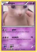 bingus
