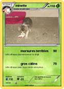 minette