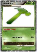 HAMMER