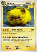 Pichucat