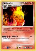 FIRE CAT