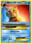 GOOSE CAT