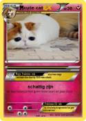 cute cat