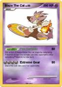 Blaze The Cat