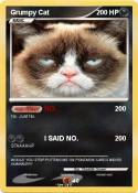 Grumpy Cat