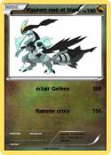 Kyurem noir et