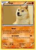Doge