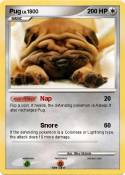 Pug
