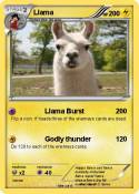 Llama