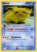Pikacat