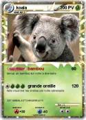 koala