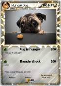 Hungry pug