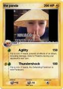 the panda