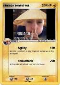 ninjago sensei