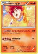 Goku ssj god