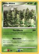 White Widow