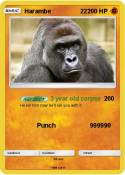 Harambe 22