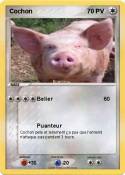 Cochon