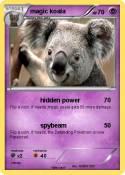 magic koala