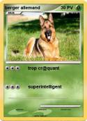 berger allemand