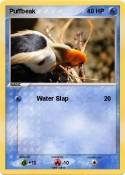 Puffbeak
