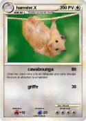 hamster.X