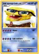 real sponge bob