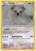 maizey