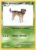 berger allemand