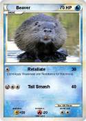 Beaver