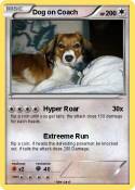 Dog on Coach