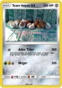 Team Hasen GX