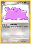 ditto