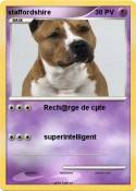 staffordshire