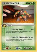 LE DESTRUCTEUR
