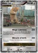 Giant Cat