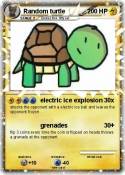 Random turtle