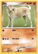 Dog