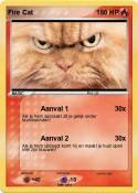 Fire Cat