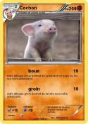 Cochon