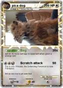 pica dog
